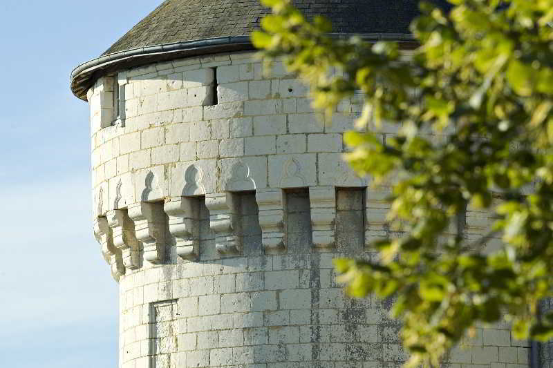 Château De Marçay Dış mekan fotoğraf